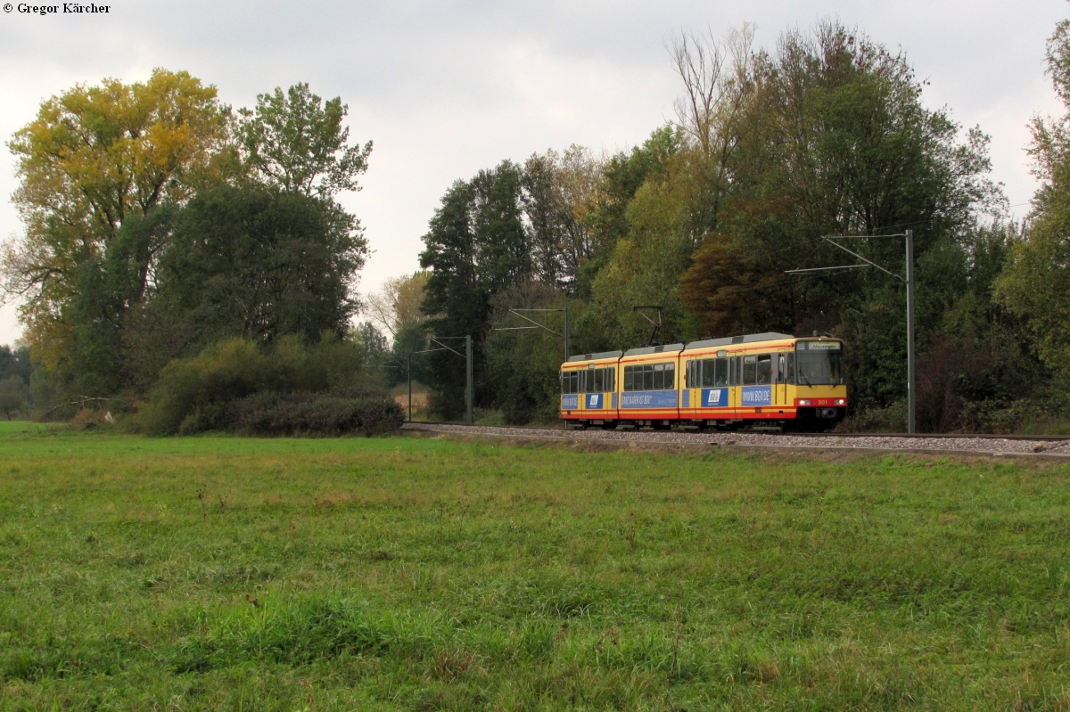 TW 801 mit der BGV-Werbung bei Oberöwisheim am 17.10.2011.