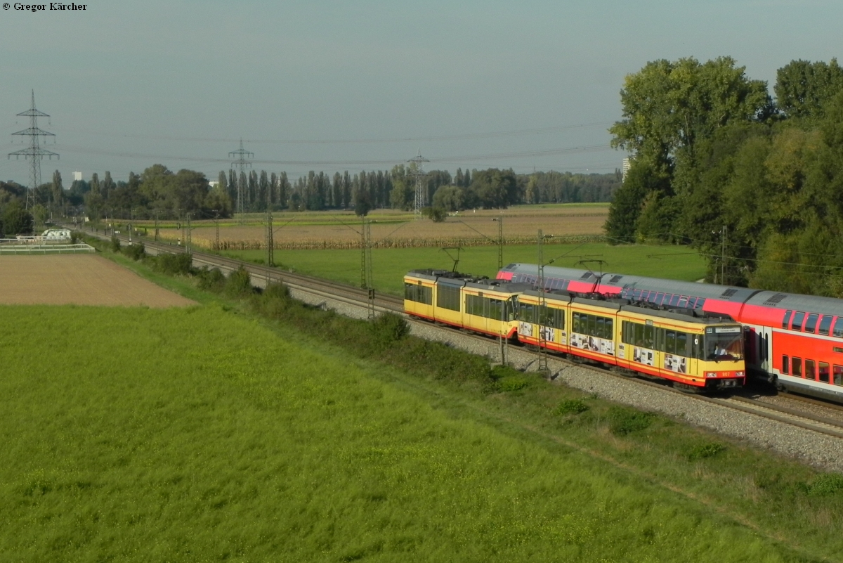 TW 807 mit der Werbung für das Mobelhaus nolte, Germersheim und Brudertriebwagen bei Ettlingen West am 27.09.2011.