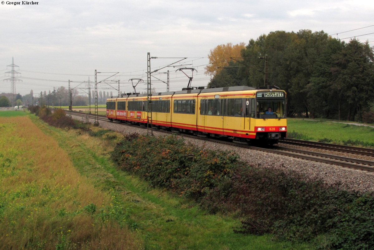 TW 828 und TW 817 bei Ettlingen West am 29.10.2011.