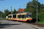 Der für den Zoo Karlsruhe werbende Triebwagen 885 fährt am 18.08.2011 im Bahnhof Ubstadt Ort ein.