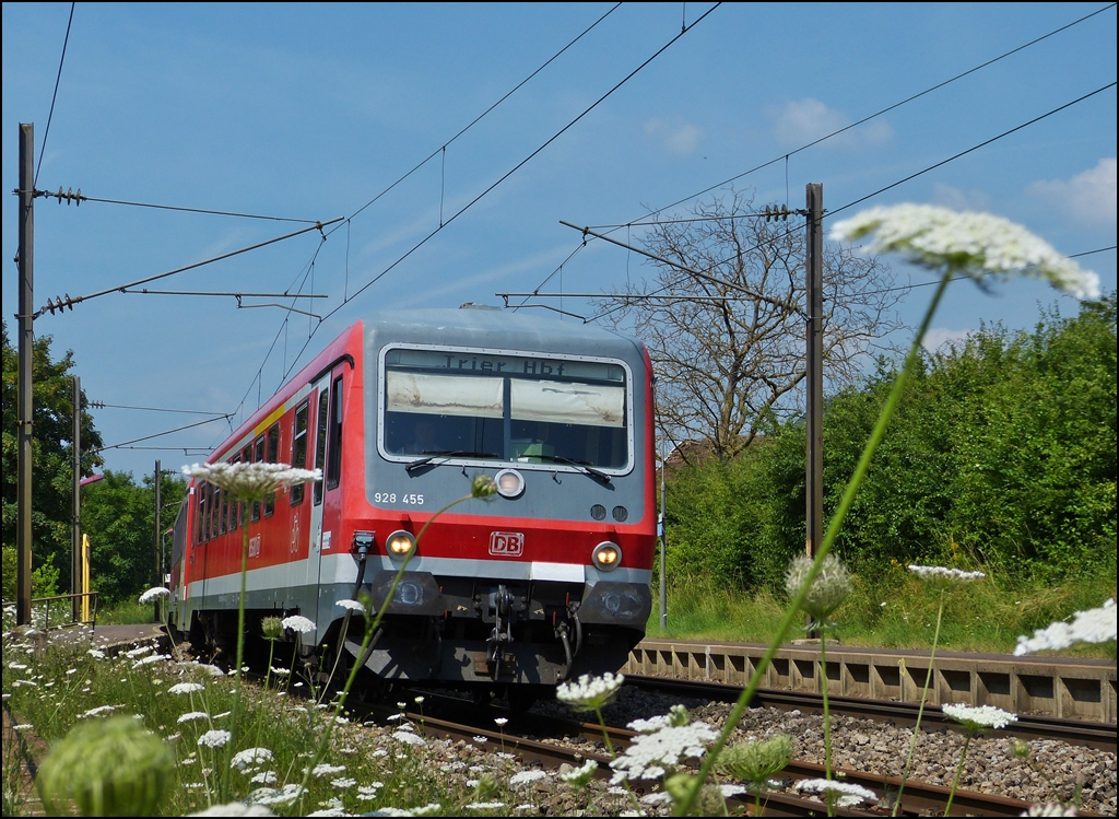 . Der Sommer zeigte sich von seiner sch�nsten Seite am 16.07.2013, als der DB Triebzug 928 455 als RE 5211 Luxembourg - Trier Hbf den Bahnhof von Mertert durchfuhr. (Jeanny)