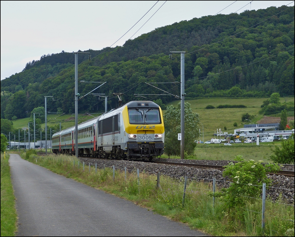 . Er hat nicht nur Insekten fotografiert - Eine 3000er lasse ich mir doch auch nicht entgehen und so mussten die Fauna etwas warten, als der versp�tete IR 111 Liers - Luxembourg am 16.06.2013 in der N�he von Lintgen durch das Alzettetal brauste. (Hans)