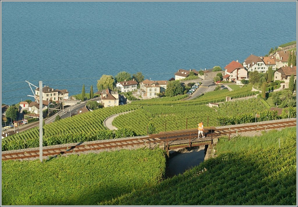 Der Bahnmitarbeiter, der da minuti�s die alte Br�cke vermisst und begutachtet hat nichts gutes zu bedeuten...
Bei Chexbres, den 10. Juli 2012