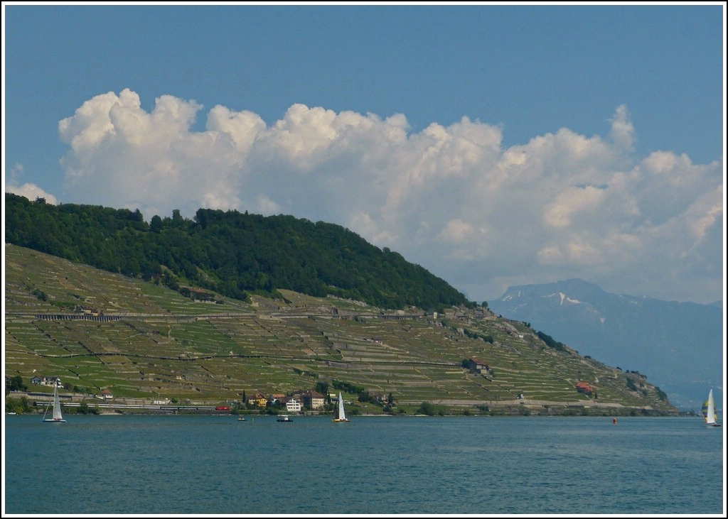 Suche den Zug: Ein IR Gen�ve-Brig f�hrt zwischen Cully und Lutry an den wundersch�nen Weinbergterrassen des Lavaux vorbei, aufgenommen vom Schiff LA SUISSE auf dem Genfersee. Auf diesem Bild ist auch so einiges vereint, was wir an diesem herrlichen Tag erlebt haben, inklusive der Rochers de Naye. 26.05.2012 (Jeanny)