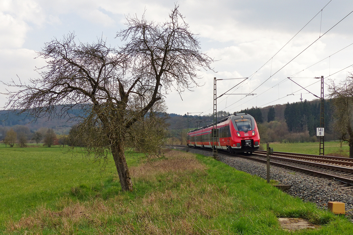 . Ein Bild f�r Margaretha - An der tollen Fotostelle zwischen Ehringshausen und Daubhausen konnte ich am 10.04.2016 den Triebzug 442 285 zusammen mit dem sch�nen alten Baum fotografieren. Dort m�ssen wir noch mal hin, nur die Klappst�hle d�rfen wir nicht vergessen. ;-) (Jeanny)
