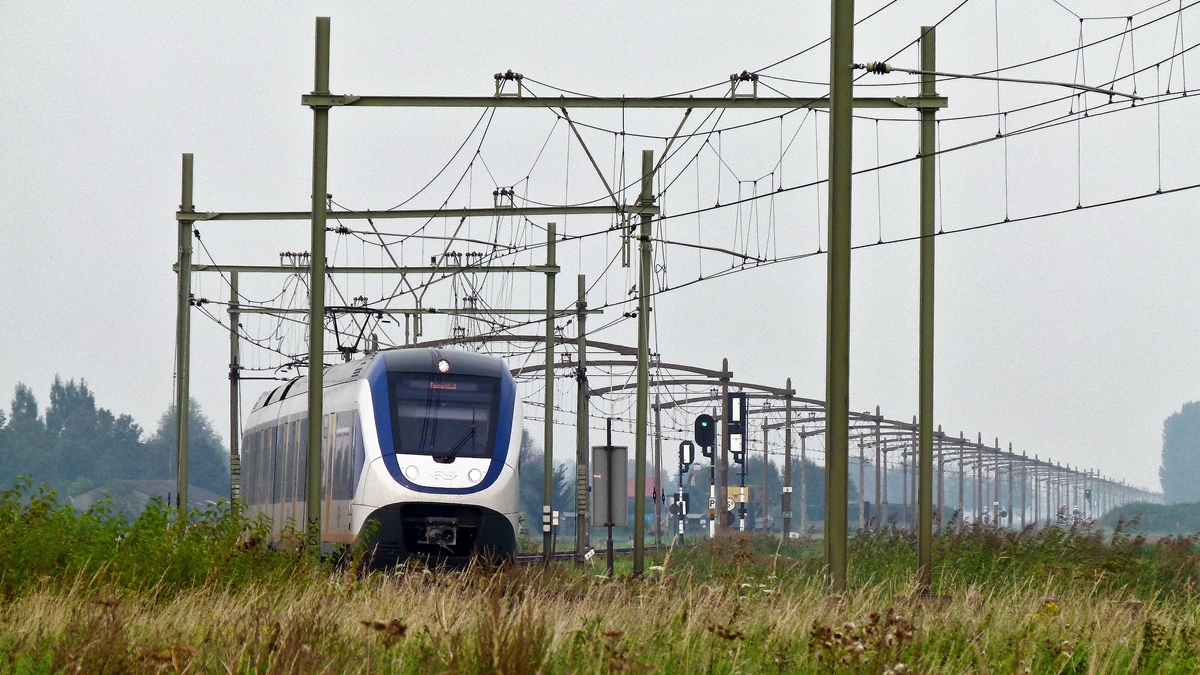 . W�hrend ich noch etwas zu tief stand, �berraschten mich am 02.09.2011 zwei gekuppelte NS SLT (Sprinter Lighttrain) im Gleisbogen kurz vor Zevenbergen. (Jeanny) 