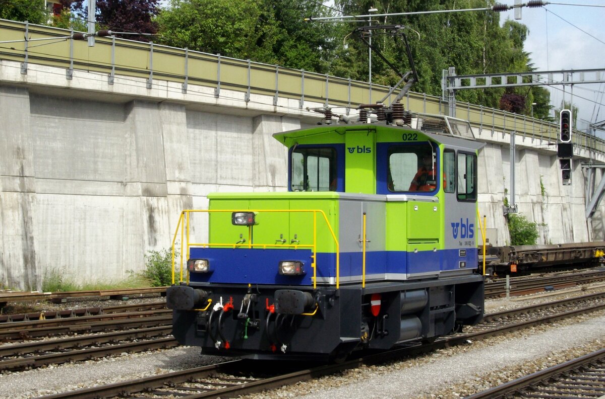 Am 7 Juni 2009 steht 245 022 in Spiez.