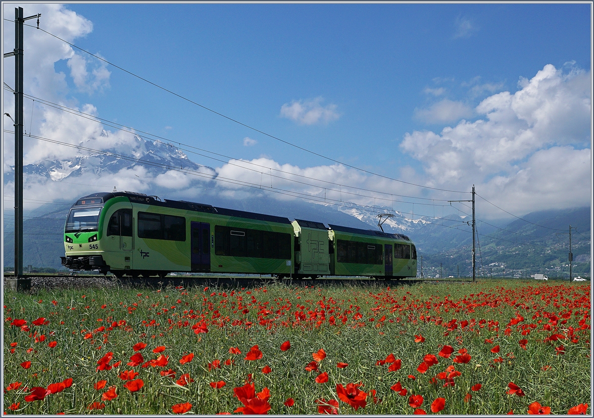 Bei der relativen Seltenheit von Mohnblumen Felder freut man sich, wenn eines gerade neben einer Eisenbahnstrecke liegt. Das Bild zeigt den TPC SURF Beh 2/6 545 auf der Fahrt nach Aigle kurz vor Villy.
24. Mai 2018