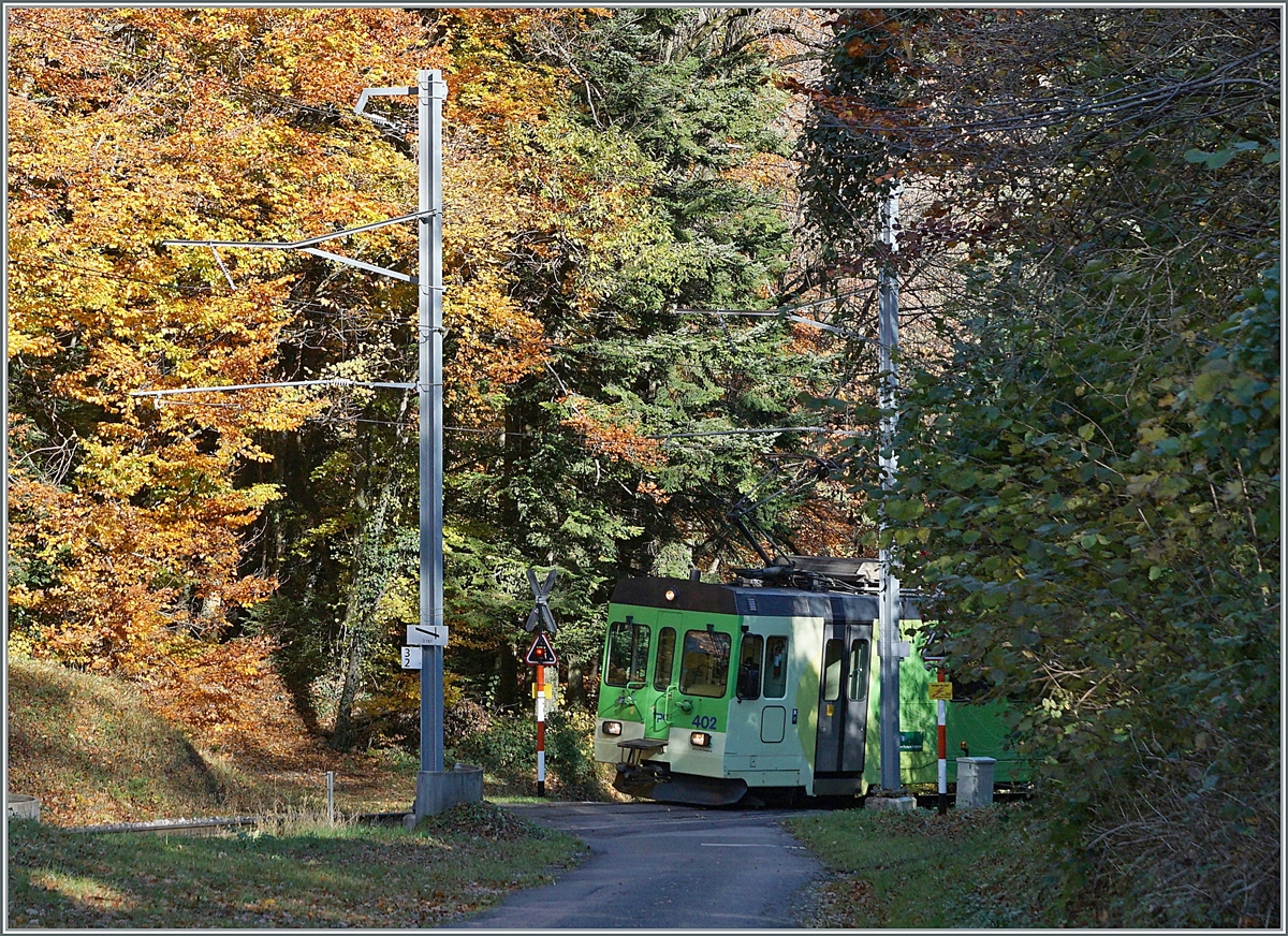 Der ASD BDe 4/4 4/4 402 der auf die Fahrt von Aigle nach Plambuit im bunten Herbstwald bei Verschiez. 

5. November 2021