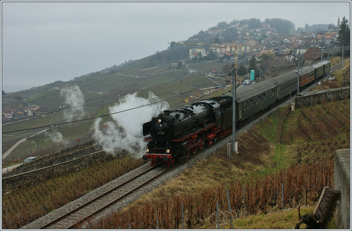 Die Dampflok 01 202 fährt mit 30 km/h durchs Lavaux nach Vevey hinunter.
(18.01.2013)