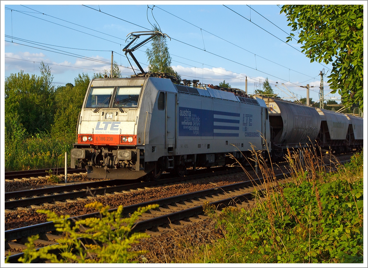 Die E 186 238 der LTE Logistik- und Transport- GmbH mit einem Getreidezug fährt am 26.08.2013 durch Pirna, hier kurz vorm Bahnhof. 

Die TRAXX F140 MS wurde 2009 von Bombardier in Kassel unter der Fabriknummer 34442 für die CBRail s.à.r.l. in Luxembourg gebaut, 2012 kam sie zur LTE hier hat sie nun die NVR-Nummer 91 80 6186 238-2 D-LTE und die EBA-Nummer  EBA 05E48KF 075.

Die Multisystemlokomotive hat die Zulassungen bzw. besitzt die Länderpakete für Deutschland, Österreich, Belgien und die Niederlande. 

Die Traxx F140 MS gehört zur dritten Traxx-Generation, in Deutschland wird sie als Baureihe 186 bezeichnet. Es handelt sich dabei grob betrachtet um eine Weiterentwicklung der Traxx F140 MS2, also eine Viersystemlok für Wechsel- und Gleichstromsysteme mit 5.600 kW Nennleistung, die Drehgestelle und Antriebe wurden nochmals verbessert, so dass mit dem Tatzlagerantrieb erstmals eine reguläre Höchstgeschwindigkeit von 160 km/h erreicht werden kann. Auch die BR 186 ist mit verschiedenen Länderpaketen erhältlich. 

Geht man nach der Herstellerbezeichnung, handelt es sich bei der BR 186 um eine Güterzuglok, jedoch ist sie dank ihrer nachträglich für Deutschland genehmigten Höchstgeschwindigkeit von 160 km/h auch für Einsätze im Personenverkehr geeignet. Trotz der Geschwindigkeitserhöhung hat die Baureihe die  140  in der Bezeichnung Traxx F140 behalten. In Polen und Österreich darf weiterhin nur bis zu 140 km/h schnell gefahren werden.

Technische Daten:
Spurweite: 1435 mm
Umgrenzungsprofil: UIC 505-1
Netzspannungen: 25 kV AC 50 Hz, 15 kV AC 16,7 Hz, 3 kV und 1,5 kV DC
Achsanordnung: Bo´Bo´
Länge über Puffer: 18.900 mm
Max. Breite des Lokkastens: 2.977 mm
Höhe über Stromabnehmer: 4.283 mm
Drehgestellmittenabstand: 10.440 mm
Radsatzabstand im Drehgestell: 2.600 mm
Dienstmasse: ca. 86 t (abhängig von Länderpaketen)
Radsatzlast: 21.5 t
Antriebssystem: Tatzlagerantrieb
Anzahl Fahrmotoren: 4
Max. Leistung: 5.600 kW
Max. Anfahrzugkraft: 300 kN
zul. Höchstgeschwindigkeit: 140 km/h (in Deutschland 160 km/h)