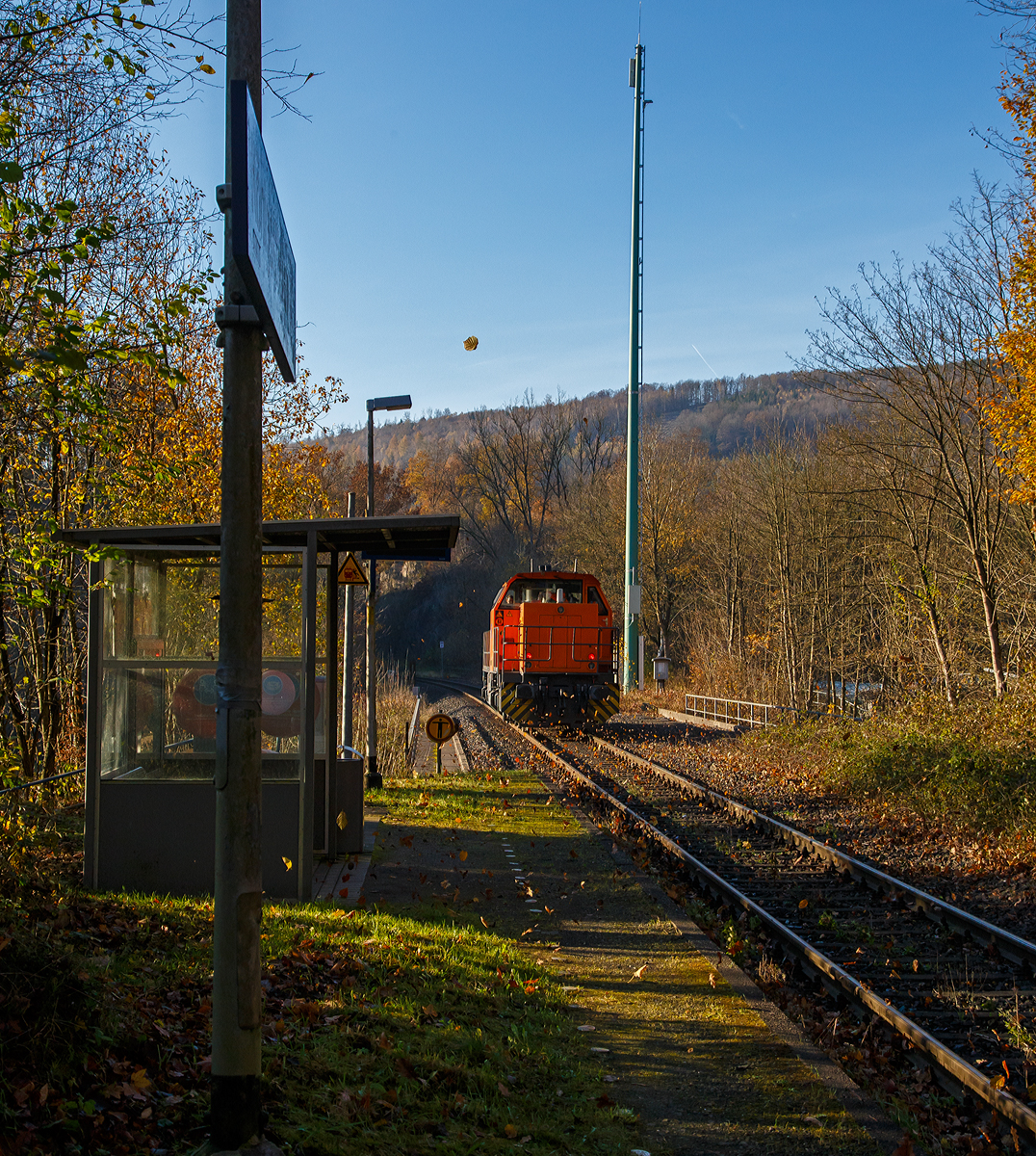 Die KSW 44 (92 80 1271 004-4 D-KSW), die MaK G 1000 BB der KSW (Kreisbahn Siegen-Wittgenstein), fährt am 11.11.2021 als Lz von Herdorf in Richtung Betzdorf (Sieg). Hier hat sie gerade 137 m langen Herdorfer Tunnel verlassen und rauscht durch den Hp Königsstollen.

Man sieht wie die Herbstblätter aufgewirbelt werde.
