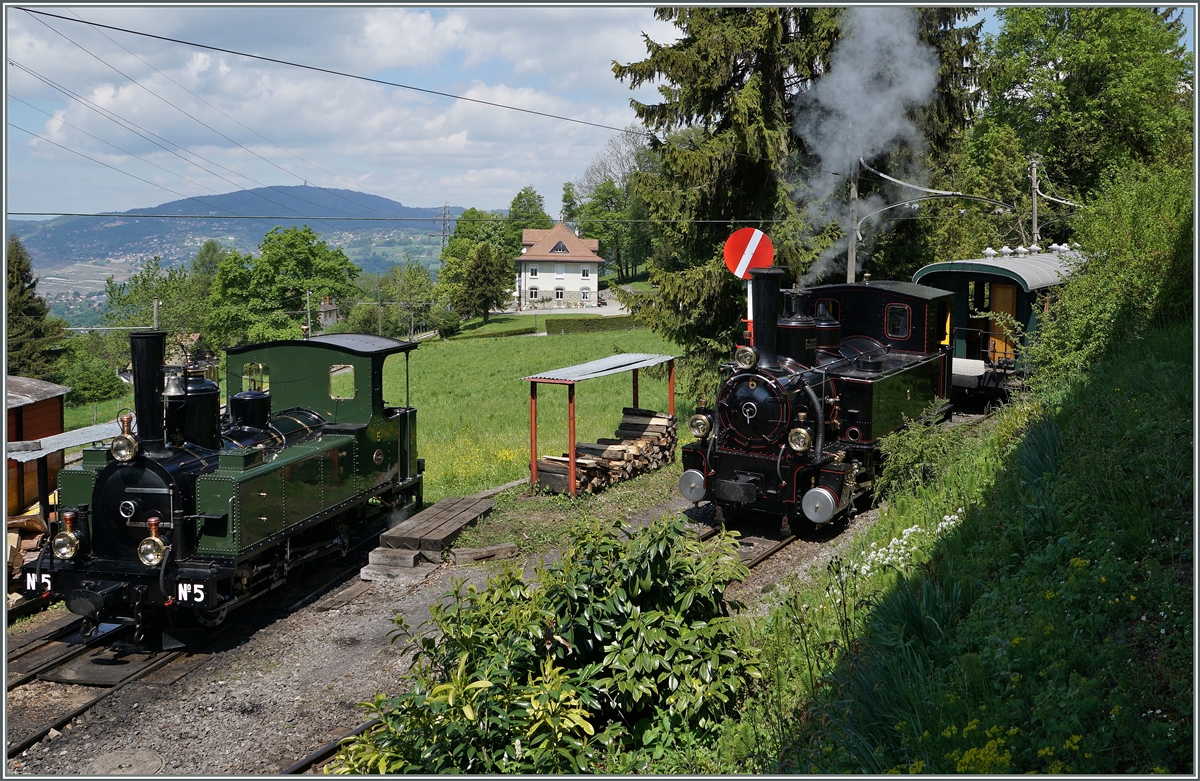 Die LEB G 3/3 N° 5 und die BAM G 3/3 N° 6 in der Lokbehandlung in Chaulin.
15. Mai 2016