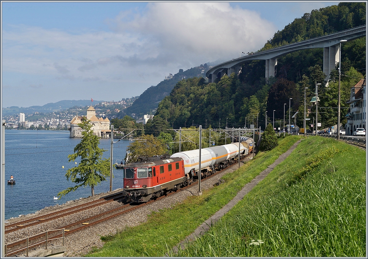 Die SBB Re 420 250-3 mit einem Güterzug auf der Fahrt Richtung Wallis kurz vor Villeneuve.

28. Aug. 2019