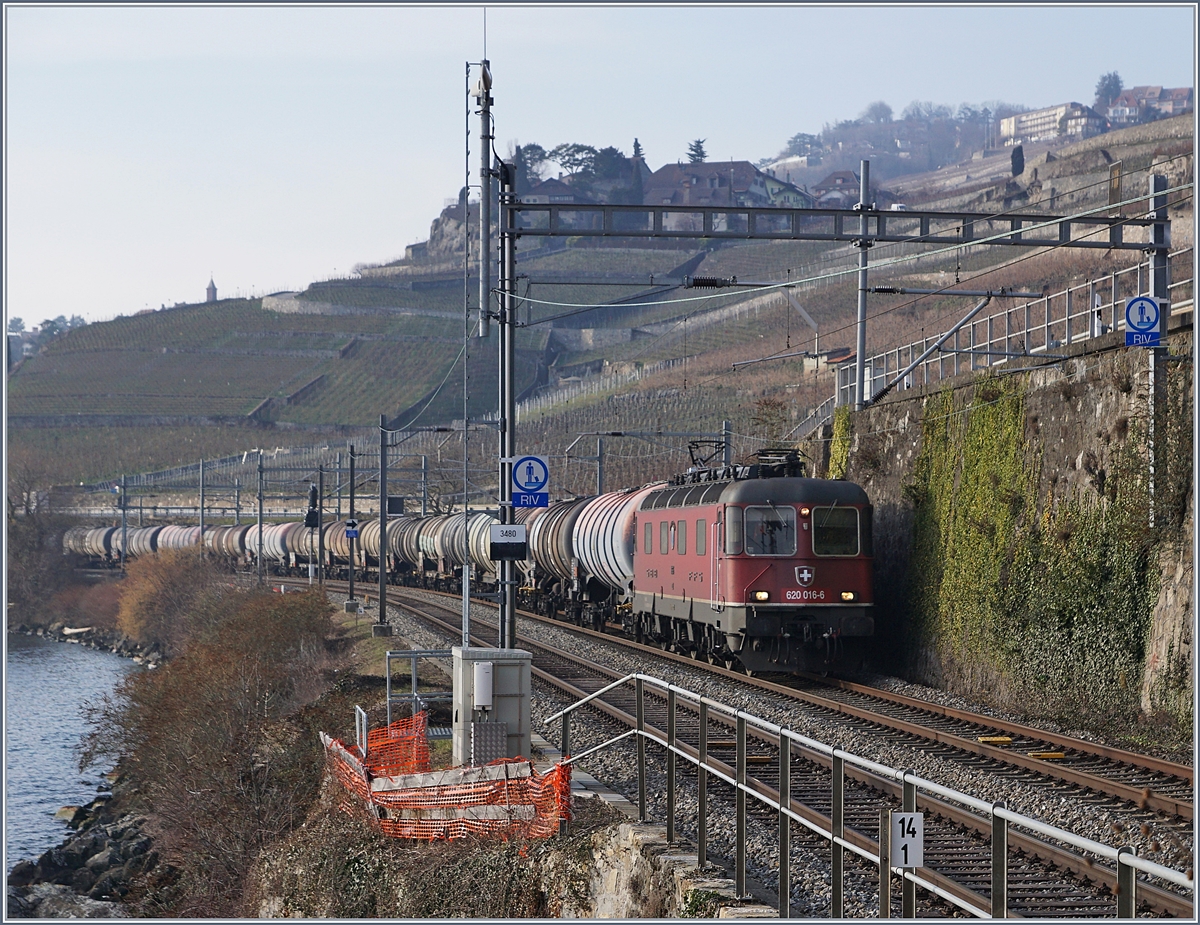 Die SBB Re 620 016-6 mit einem Kesselwagenzug zwischen Rivaz und St-Saphorin.
6. Feb. 2018