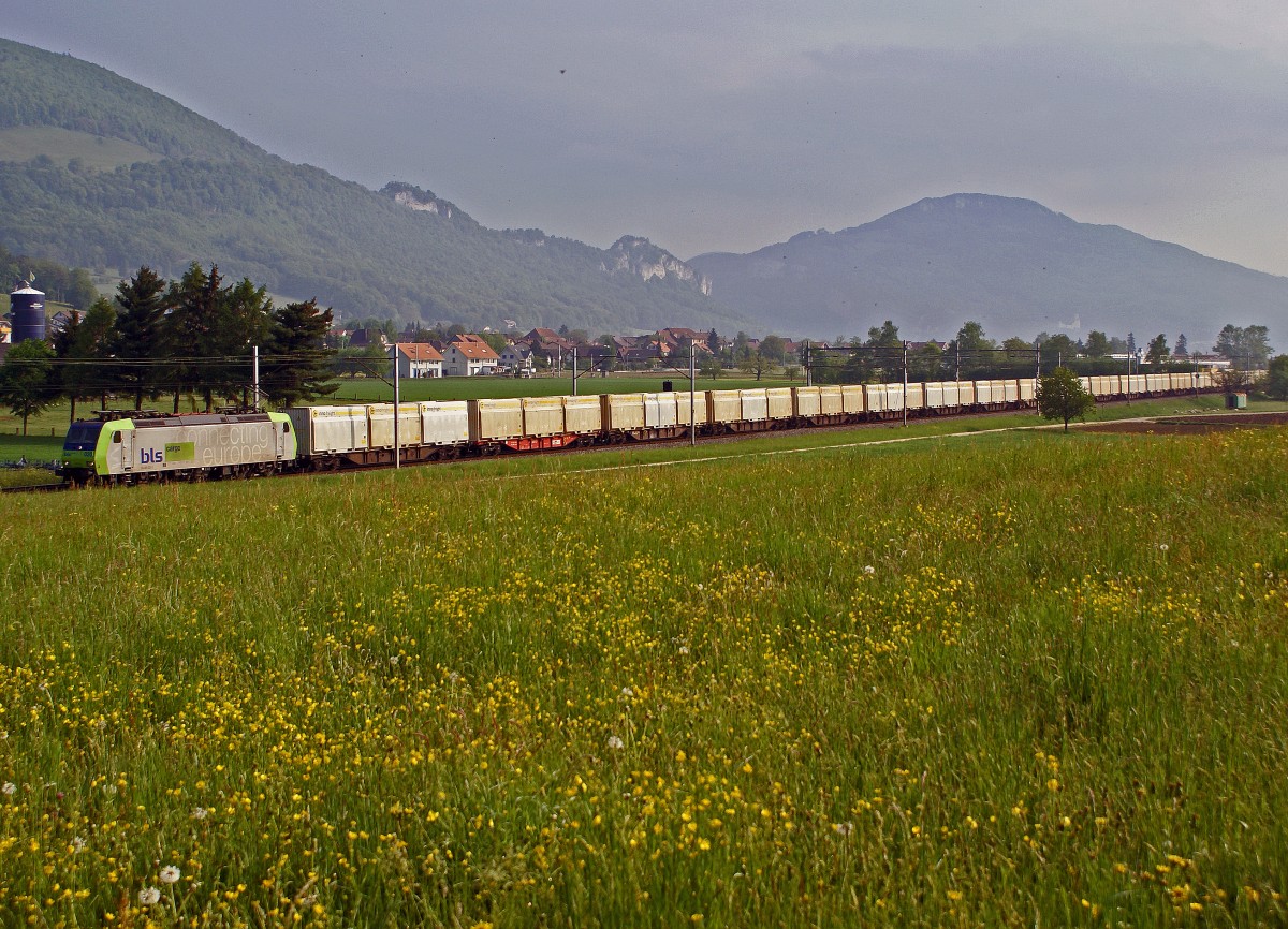 Die Tm 2/2 237 806-5  SCHOEMA  im Dienste der Cellulosefabrik Attisholz. Die ehemalige Cellulosefabrik Attisholz wurde Ende 2008 von ihrem letzten Eigent�mer Borregard, einem Tochterunternehmen des norwegishen Mischkonzerns Orkla, geschlossen. Noch im Jahre 2007 wurde auf vollen Touren gearbeitet. Sehr oft pendelten Ganzz�ge der Rail Cargo Austria mit Holzschnitzel-Container der Firma inno freight aus Bruck an der Mur zwischen Domat/Ems und Luterbach-Attisholz. Langer Ganzzug auf der Fahrt nach Luterbach-Attisholz mit der BLS CARGO Re 485 020-2 bei Niederbipp am 28. April 2007.
Foto: Walter Ruetsch 