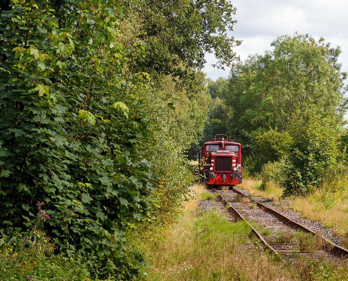 
Die Westerwaldbahn (WEBA) Lok 3 (V 26.3), eine Jung R 30 B, f�hrt am 25.08.2015 mit ihrem G�terzug bei Elkenroth in Richtung Bindweide. Die etwas in die Jahre gekommene Strecke, von Scheuerfeld/Sieg �ber Bindweide nach Weitefeld, ist Eigentum der WEBA. Fr�her ging die Strecke bis zu Siegerland Flughafen. 

Die Jung Lok vom Typ R 30 B wurden bei der Firma Jung in Kirchen/Sieg 1957 unter der Fabriknummer 12748 gebaut und als V 26.3 an die WEBA geliefert. Sie hat die NVR-Nummer 98 80 3944 005-8 D-WEBA.

Die WEBA hatte 4 dieser Jung R 30 B Loks, diese zwei Loks sind heute noch als Reserveloks erhalten geblieben. Die anderen zwei dienen als Ersatzteilspender.
 
Die Maschinen besitzen ein hydraulisches Getriebe, die Kraft�bertragung erfolgt vom Getriebe mittels Blindwellen �ber Treibstangen auf die R�der.

Technische Daten:
Achsformel: B
L�nge �ber Puffer: 7.680 mm
Achsabstand: 3.000 mm
Gewicht der Lok: 28 t
H�chstgeschwindigkeit: 46 km/h (23,4 km/h im Rangiergang)
Leistung: 191 kW (260 PS)
