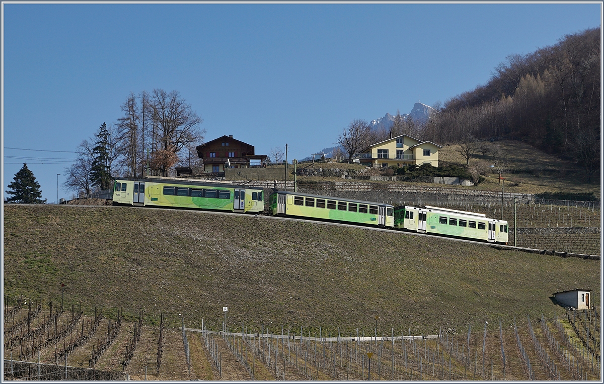Ein Frequenz bedingt dreiteiliger ASD Regionalzug in den Weinreben oberhalb von Aigle. 

23. Feb.2019 