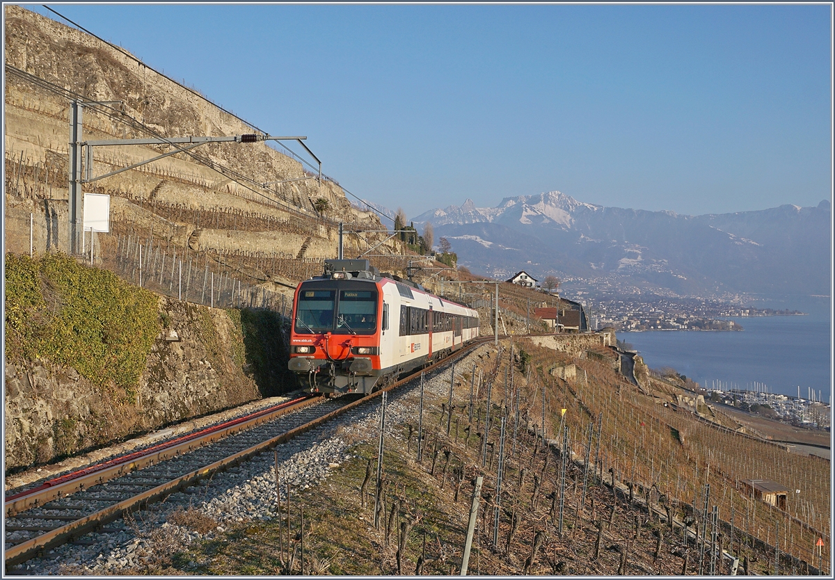 Ein RBDe 560 Domino auf der Fahrt von Vevey nach Puidoux auf der  Train de Vignes  Strecke oberhalb von St-Saphorin. 
25. Jan. 2019
