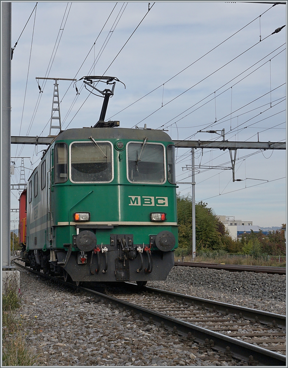 Eine der beiden BAM / MBC Te III rangierte (ziemlich versteckt) in Morges die BAM MBC Re 4/4 II (UIC 91 85 4420 506-8 CH MBC). 

18. Okt. 2021