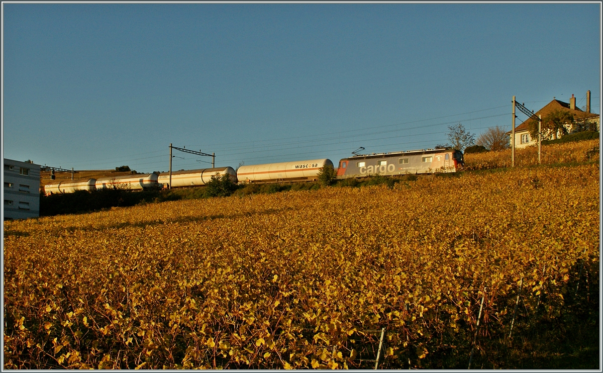 Eine SBB Cargo Re 6/6 mit einem �lzug Ausgangs Lutry Richtung Wallis.
11.11.13