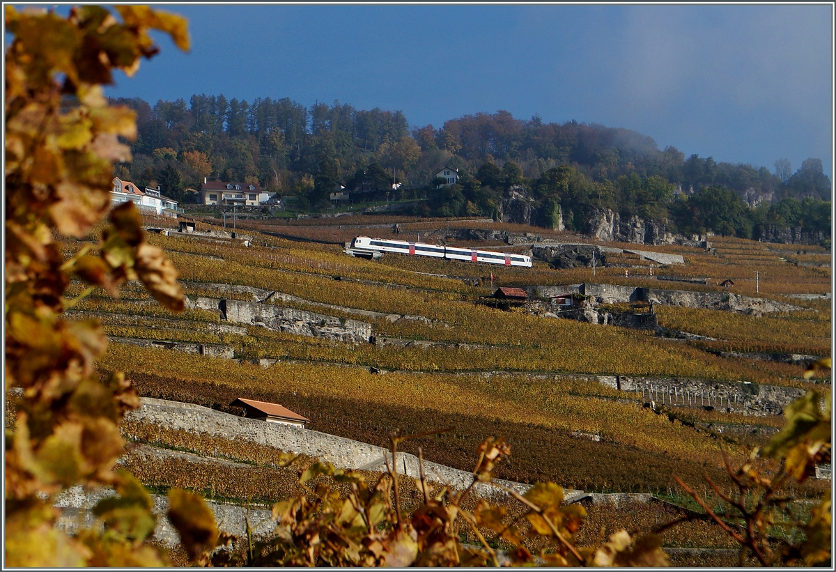 Eine Zweiteiler Dominio als S31 auf dem Weg nach Puidoux Chexbres erreicht in Körze Chexbres Village.
Ab Fahrplanwechsel sollen dies Züge um einen Mittelwagen verstärkt werden. 
2. Nov. 2014