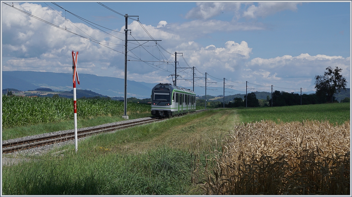 Erinnerungen an einen Sommer  der LEB Be 4/4 64, unterwegs als Regionalzug 131 von Lausanne Flon nach Bercher, wurde hier kurz nach Fey fotografiert.

25. Juli 2020