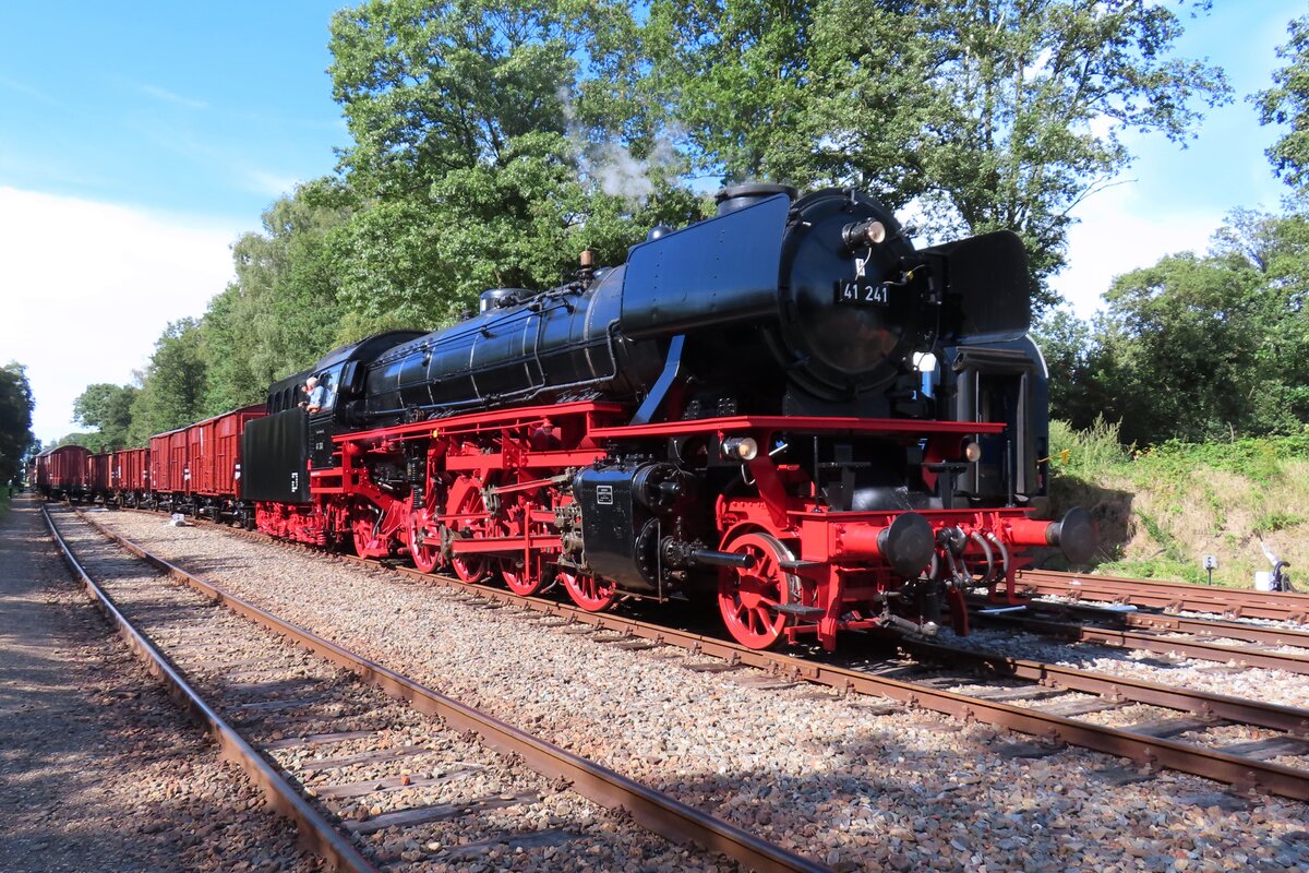 Gerade rechtzeitig betriebsf�hig ist 41 241 der VSM geworden und am sonnigen 3.September 2023 strahlt sie im vollen Pracht beim Einfahrt in Loenen mit ein Fotoguterzug w�hrend terug naar Toen, dass gr�sste Dampflokfestival der Niederlande.