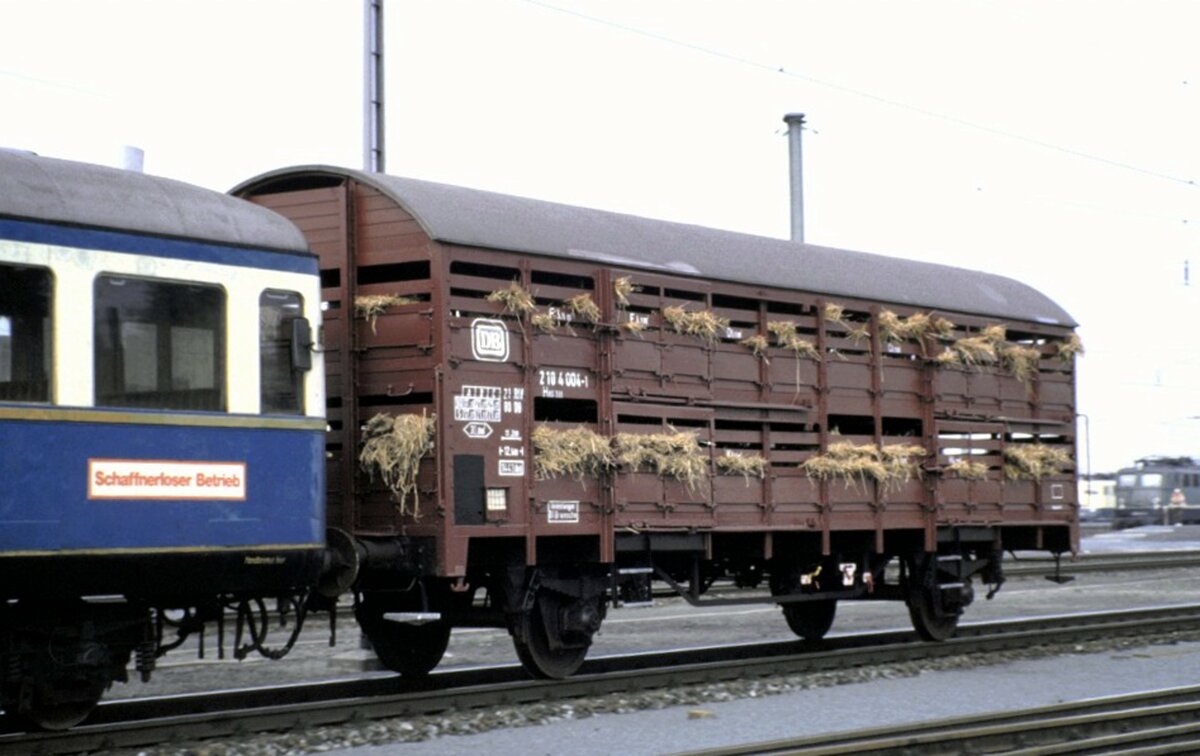Güterwagen Viehtransporter 210 4 004-1im Zug 4.6 bei der Jubiläumsparade 150 Jahra Deutsche Eisenbahn in Nürnberg am 14.09.1985.