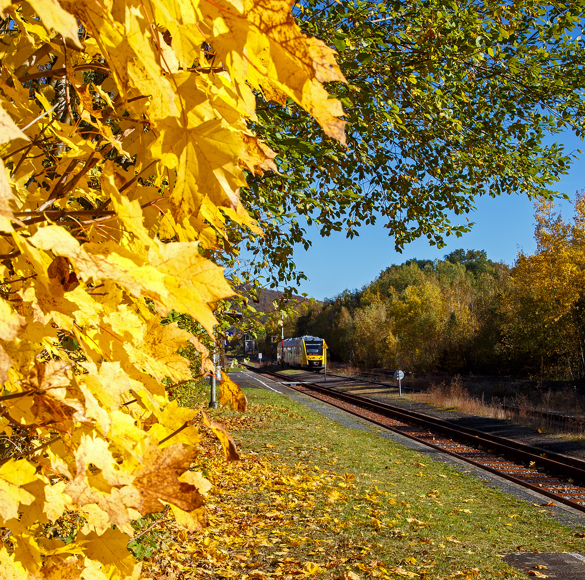 Herbstzeit oder Indian Summer in Herdorf.....
Der VT 507 (95 80 1648 107-8 D-HEB / 95 80 1648 607-7 D-HEB) der HLB (Hessische Landesbahn GmbH), ein Alstom Coradia LINT 41 der neuen Generation, am 24.10.2021 beim Halt im Bahnhof Herdorf. Er fährt als RB 96  Hellertalbahn  die Verbindung Betzdorf - Herdorf - Neunkirchen - Haiger - Dillenburg (Umlauf 61779).

