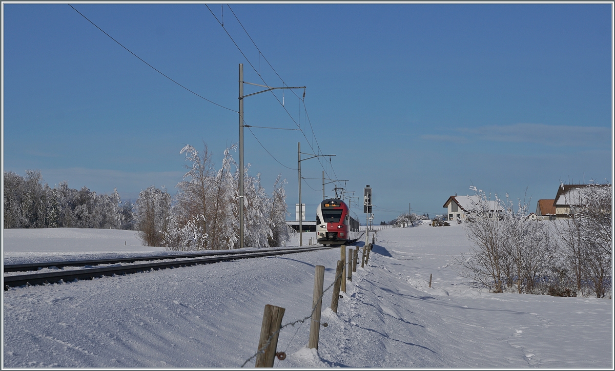 In der kurzen Zwischenzeit des nach Tagen abgezogenen Nebels und der bald aufziehenden Störung zeigte sich eine kleine Winterwunderwelt, in welcher der TPF RABe 527 195 nach Bulle  fast eine Nebenrolle spielt. 

Das Bild wurde zwischen Sâles und Vaulruz aufgenommen. 

23. Dezember 2021