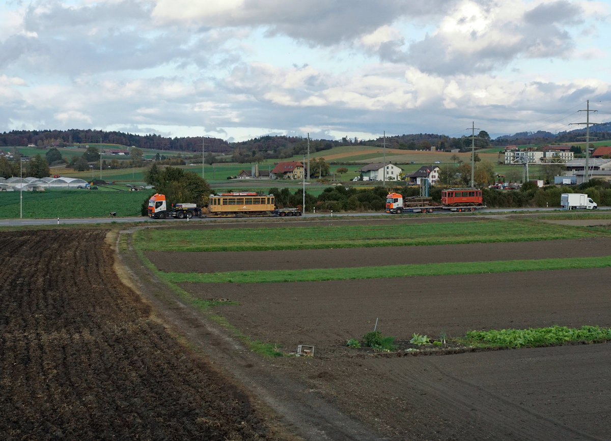 Jahresrückblick 2017
von Walter Ruetsch, Riedholz
SEPTEMBER
BMK: Bahnmuseum Kerzers.
Die ehemaligen Triebwagen Ce 2/4 13 und X 2/2 112 der Birseckbahn sowie zwei Güterwagen der Gelterkinden-Sissach Bahn haben am 27. Oktober 2017 nach einem Aufenthalt von vielen Jahren das Bahnmuseum Kerzers auf der Strasse in Richtung Tschechien verlassen.