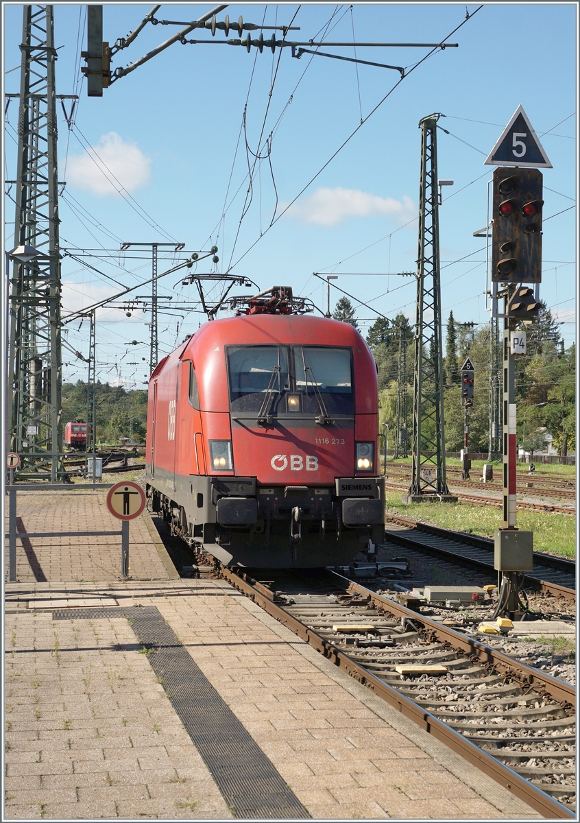 Kaum ist der IC Zürich - Stuttgart in Singen angekommen, ist die ÖBB  1116 273 schon auf Rangierfahrt um den Zug für die Weiterfahrt nach Stuttgart zu übernehmen. 

19. Sept. 2022