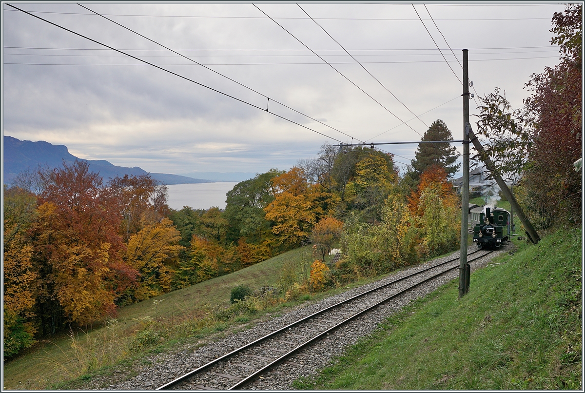  LA DER 2020 du Blonay-Chamby  / Saison Abschluss der Blonay-Chamby Bahn: Mit einem verstärkten Fahrplan und viel Dampf wird vor dem  Winterschlaf  (bzw. Arbeit im Dépôt Chaulin) nochmals viel Betrieb gemacht. Die LEB G 3/3 N° 5 (Baujahr 1890) dampft mit ihrem Personenzug bei der Haltstelle Chantemerle vorbei, die bunten Herbstfarben langsam vom Sonnenlicht verlassen werden.

25. Okt. 2020