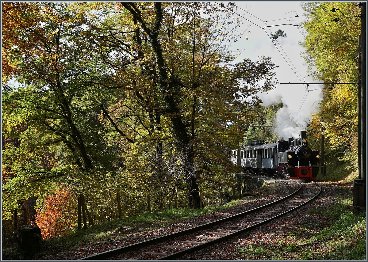  LA DER 2020 du Blonay-Chamby  / Saison Abschluss der Blonay-Chamby Bahn: Mit einem verstärkten Fahrplan und viel Dampf wird vor dem  Winterschlaf  (bzw. Arbeit im Dépôt Chaulin) nochmals viel Betrieb gemacht. Die erfreulich vielen Züge boten auch die Gelegenheit, neben den  klassischen  Fotostellen auch andere Fotostellen aufzusuchen und die Blonay-Chamby Bahn aus einem neuen Blickfeld aufzunehmen, wobei mir diese Bild voller Nieten ganz besonders gefällt. Die G 2x 2/2 105 ist mit ihrem Dampfzug nach Chaulin kurz nach Chantemerle im Wald oberhalb von Blonay im Gegenlicht unterwegs und das Sonnenlicht steift jede einzelne Niete auf der Talseite der Lok.

25. Okt. 2020