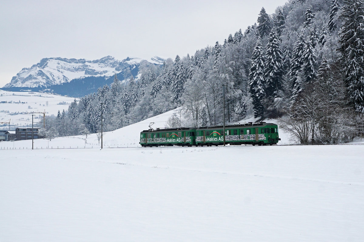 MAKIES Lokzug 38020L Samstagern - Gettnau mit BDe 576 056-6  ELISI  und 576 057-4  JEANETTE  bei Schachen am 7. Februar 2019.
Foto: Walter Ruetsch 