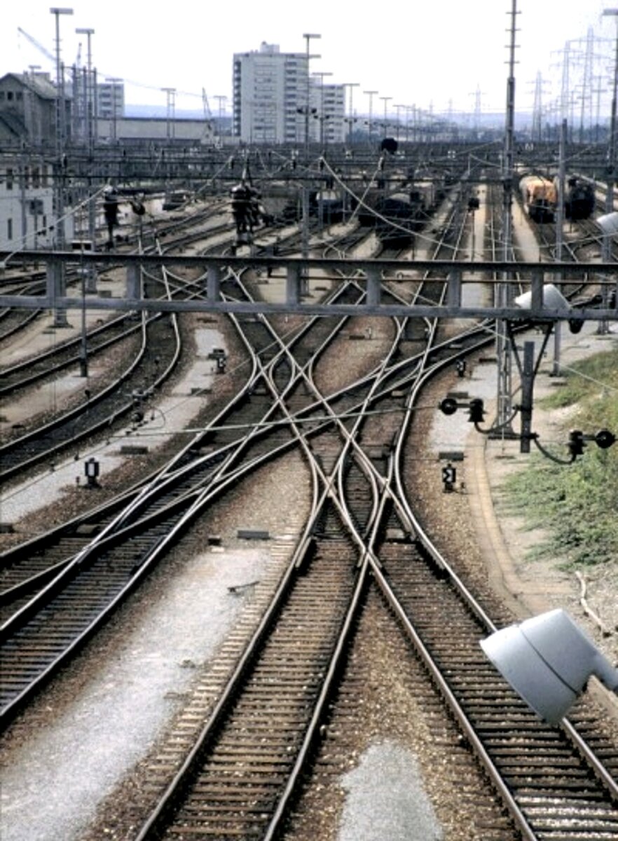 Mehrere Kreuzungsweichen zu den Wagengleisen des Rangierbahnhofs Muttenz bei Basel am 23.08.1980.