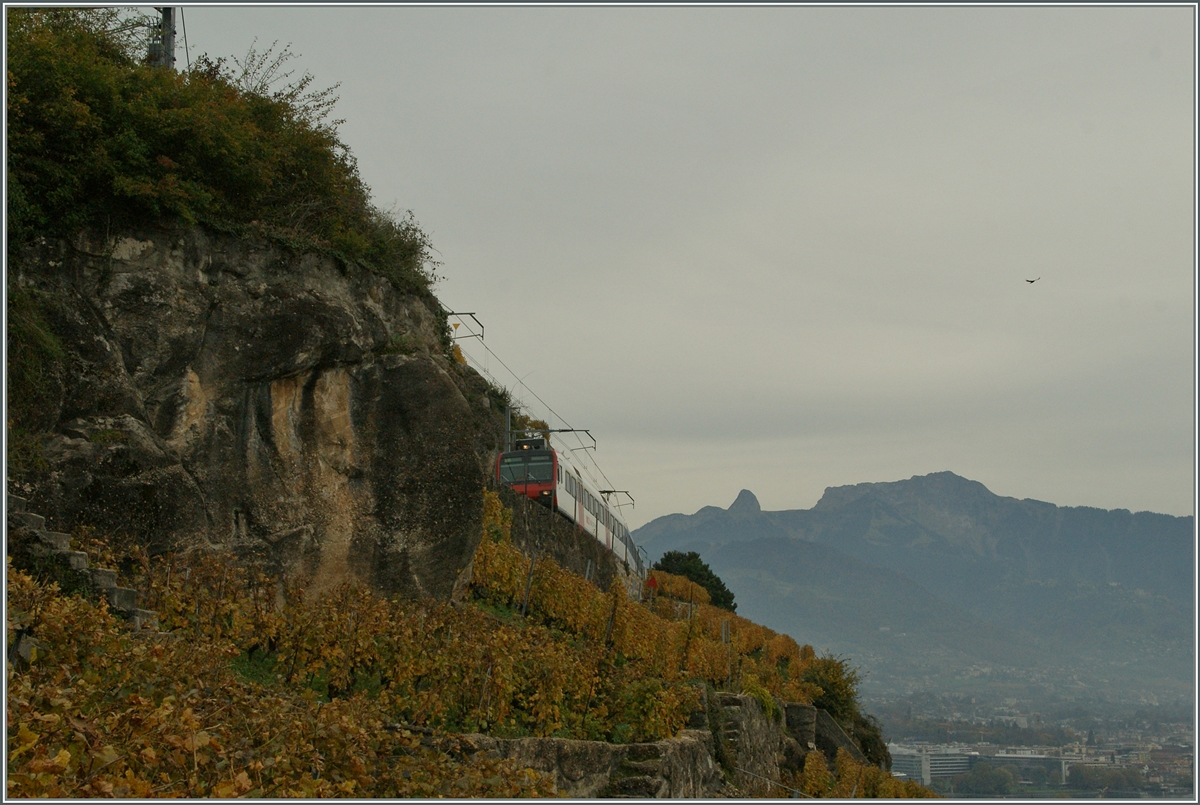 Motiv verdeckt, aber einerseits, ist es bei dem Zug nicht schade, und anderseits finde ich, dass das Bild trotzdem seine Berechtigung hat.
S21 kurz nach Cornaux-Cornalles unterwegs Richtung Puidoux-Chexbres.
1. Nov. 2013