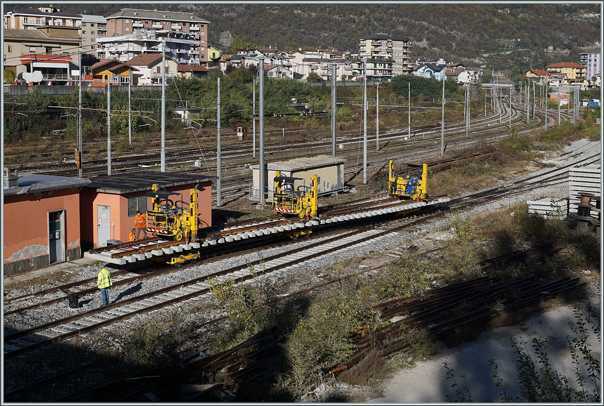 Nachdem die  blaue Lok  und allerlei an  gelben Fahrzeugen  langsam weggefahren wahren, staunte ich nicht schlecht, als deine  Selbstfahrende  Weiche angerollt kam! 
Erst dachte sie werde die Weiche auf welcher sie bei diesem Bild stand ersetzen, doch dem war nicht so, die Weiche fuhr weiter. 

28. Oktober 2021