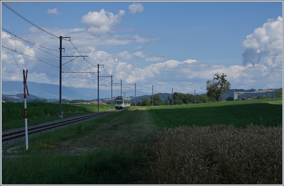Nachdem ich nach etlichem Hin und Her eine bestens geeignete Stelle gefunden hatte, kam der Zug UND die Fotowolke... Der neue LEB Be 4/8 61 von Bercher nach Lausanne Flon unterwegs kurz vor Fey.

25. Juli 2020