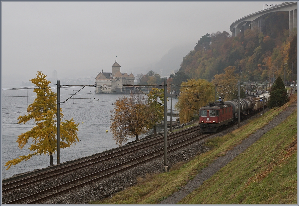 Nebel, an der Riviera eher selten, zeigt, dass es Herbst geworden ist, als die SBB Re 420 248-7 mit ihrem farblosen Schweizer Wappen beim Château de Chillon mit einem Güterzug dem Wallis zu strebt. 
6. Nov. 2018