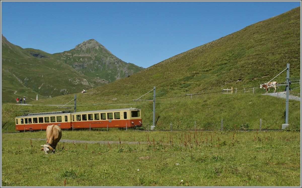 Obwohl das Motiv etwas verdeckt ist, denke ich ist er JB-Zug in der alten Farbgebung doch zu erkennen...
Zwischen der Kleinen Scheidegg und dem Eigergletscher, den 21. August 2013   