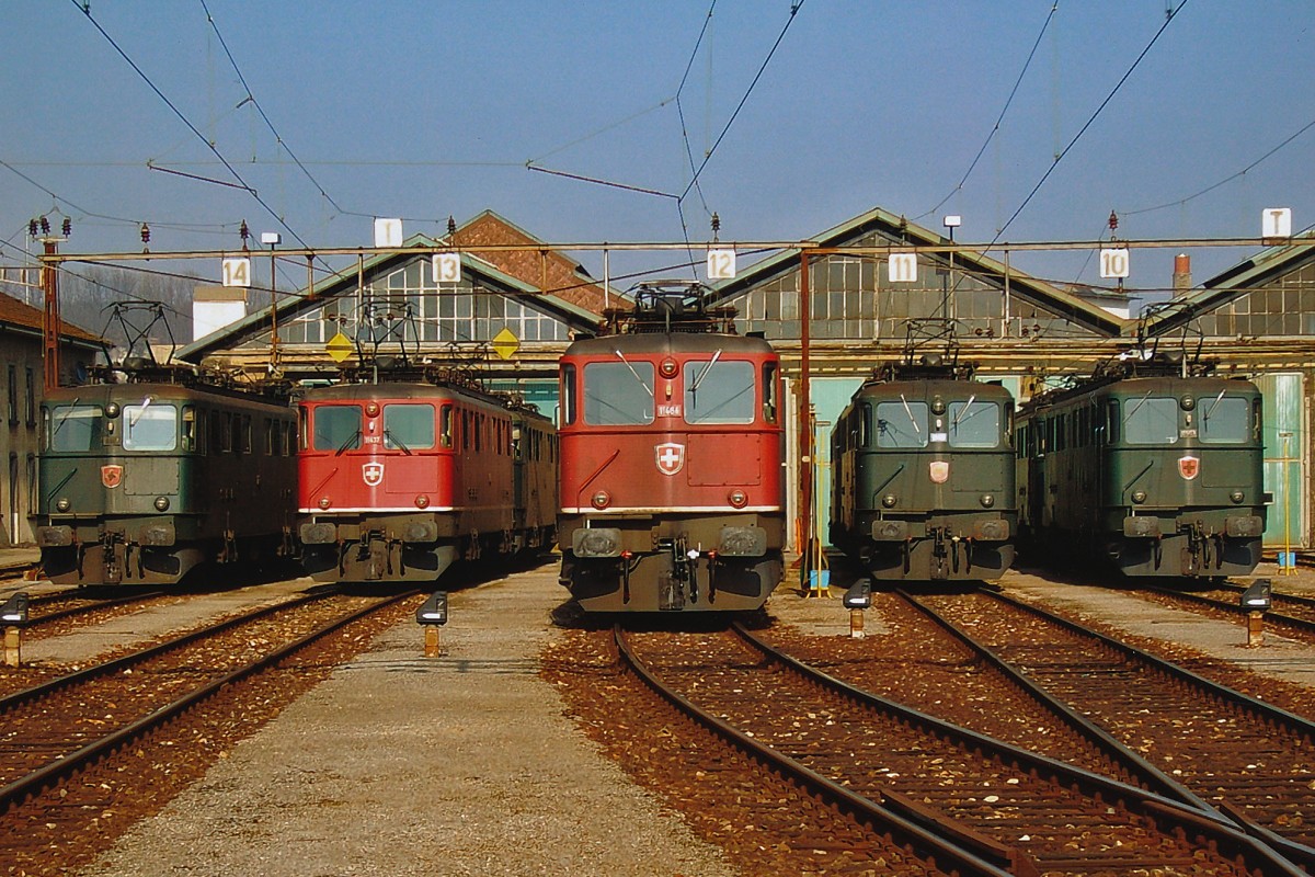 SBB: Im Jahre 2006 prägten noch die robusten Ae 6/6 Lokomotiven das Bild des Güterverkehrs im Mittelland. Am 19. März 2006 waren gleich mehrere rote und grüne  Städelolks  11426-1520 (1958-1966) vor dem Depot Olten versammelt.
Foto: Walter Ruetsch