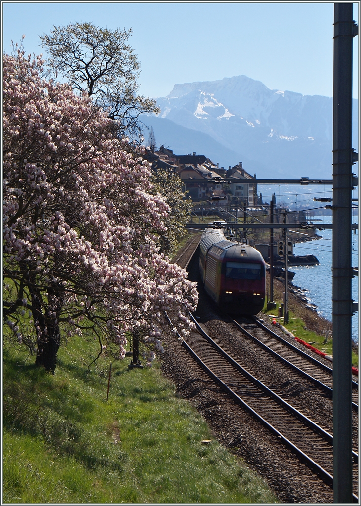 Zarte Frühlingsfarben im Lauvaux.
6. April 2015