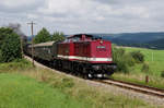 Sonderzug mit der 202 646-6 auf der Fahrt nach Schwarzburg am 14.