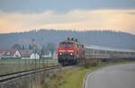 218 456-2 und eine weitere 218 mit IC Allgäu 2012 bei Vöhringen am 30.10.2010.