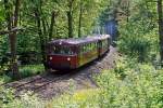   In den W�ldern des Siegerlandes: Schienenbusgarnitur der FSB - F�rderverein Schienenbus e.v.