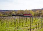   Die 1142 704-6 (A-CBB 91 81 1142 704-6) der Centralbahn AG zieht am 12.04.2015 einen Sonderzug �ber die Rechte Rheinstrecke (KBS 465), hier bei Leutesdorf, in Richtung Norden.