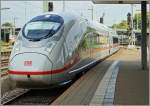 Erst nach dem (fast) zu sp�ten Ausl�sen merkte ich, dass mir da ein bisher fremdes Gesicht vor die Linse fuhr.