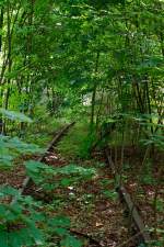 Zwischen Herdorf und dem Ortsteil Sassenroth, neben der KBS 462 (Hellertalbahn) bei km 87,8 befindet sich das ehemalige Anschlussgleis zur ehem.